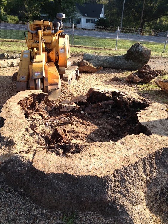 Stump Grinding Services